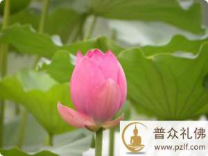 无论粗细妄念，均须起灭随无而